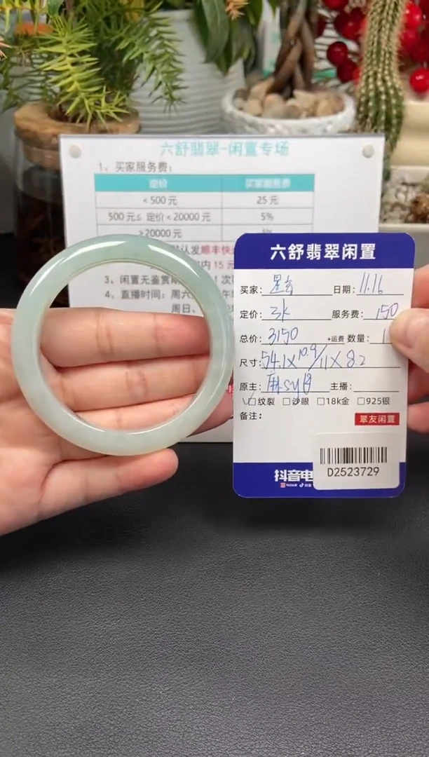 未镶嵌手镯翡翠星***。D2523729