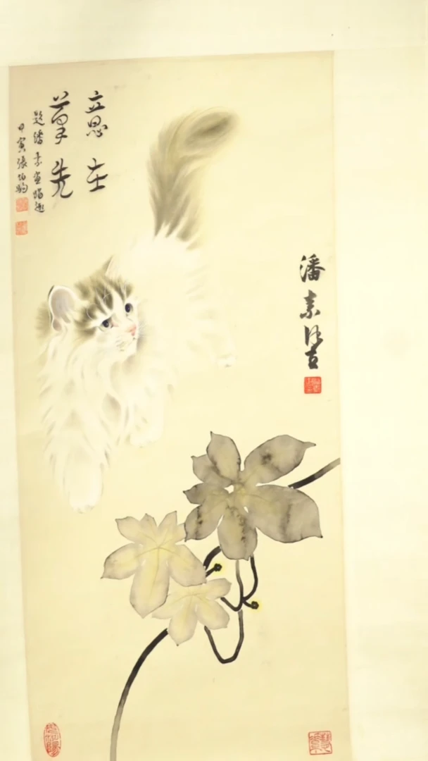 书法张bj老师潘s老师 猫书画作品