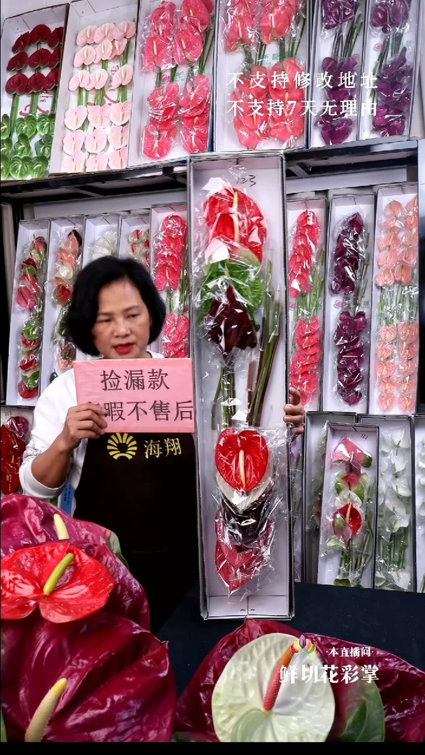 完全开放完全开放完全开放混色12支