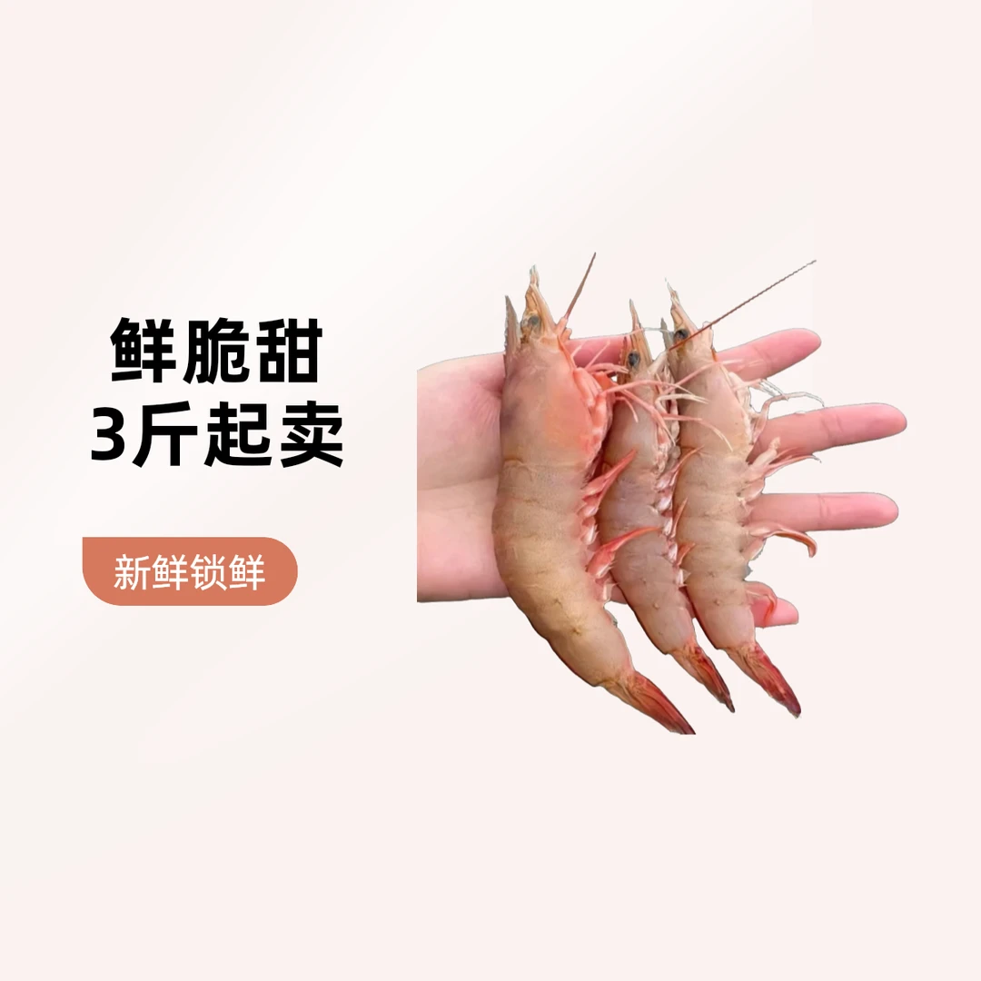 野生海捕 新鲜沙芦虾/麻虾/3斤5斤冷冻锁鲜（个别有沙、实属正常）