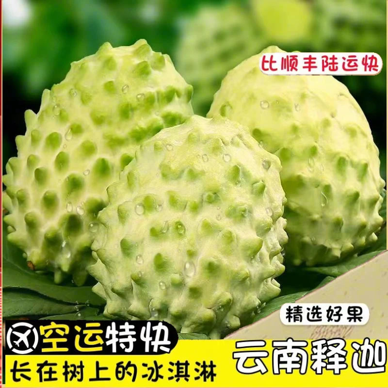 【果王买三送二到手5斤·空运包邮】云南高原释迦果纯甜无酸现摘现发