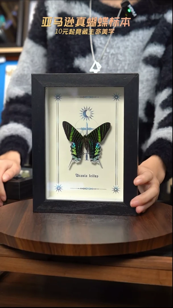 月亮蛾图腾款7寸竖框