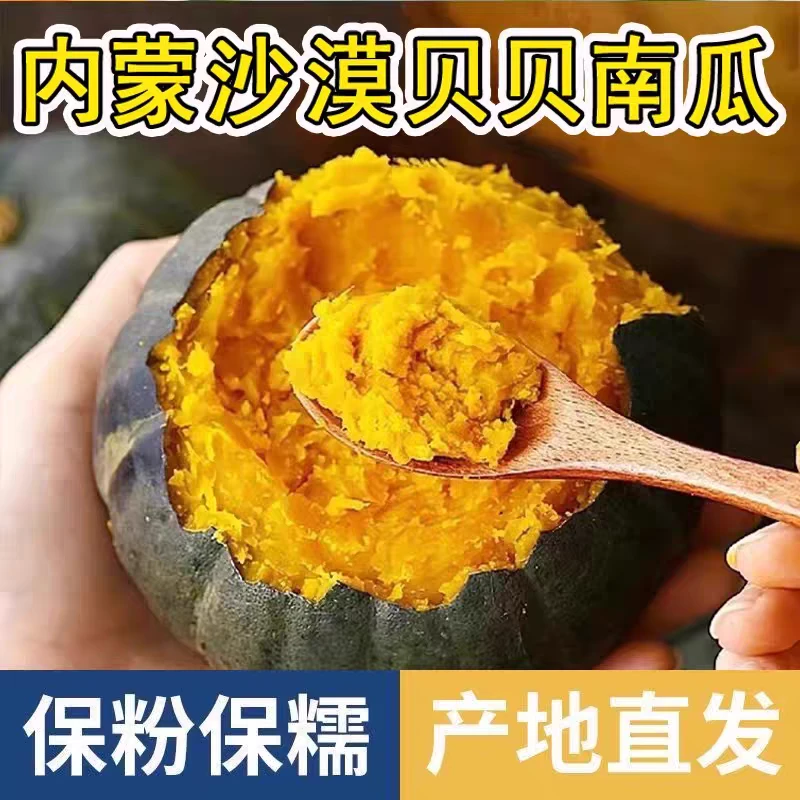 特大 内蒙沙地贝贝南瓜新鲜当季粉糯香甜板栗味宝宝辅食