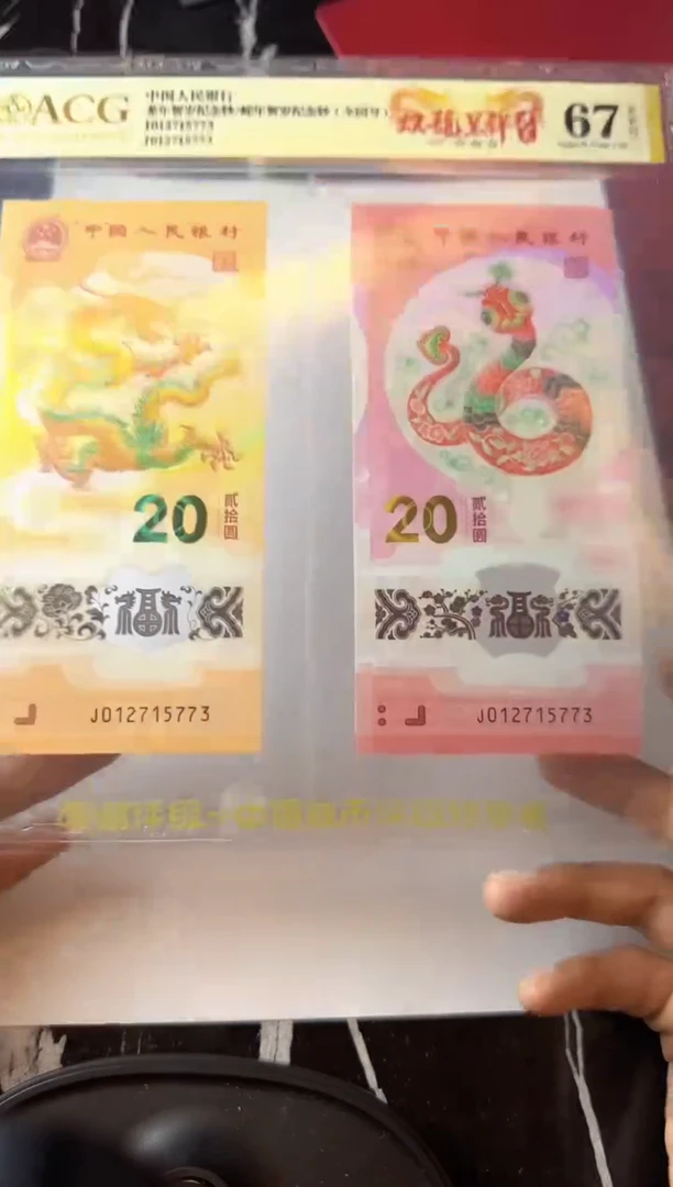 塑料2025 龙蛇全同号一对 如图 啊啊啊啊