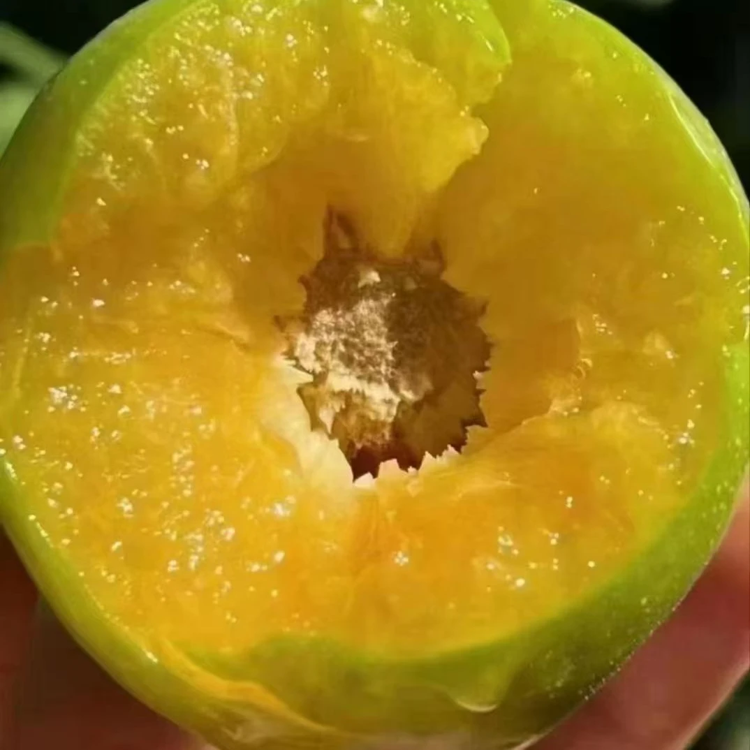 青脆李新鲜应季脱骨水果4.5斤包邮酸甜清脆当季