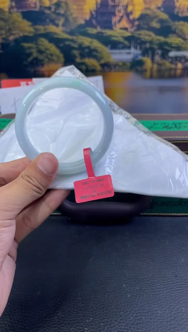 未镶嵌手镯翡翠9