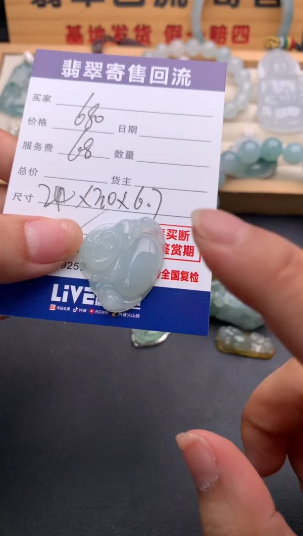 翡翠18K金镶嵌颈饰10137574