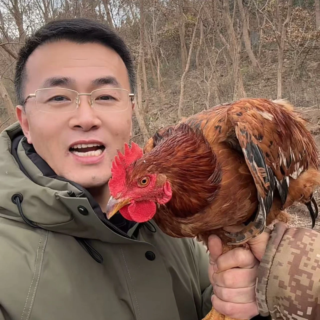 PSJ-自家弟弟山上养殖跑山鸡男夏季速干衣男装宽松冰丝上衣短袖