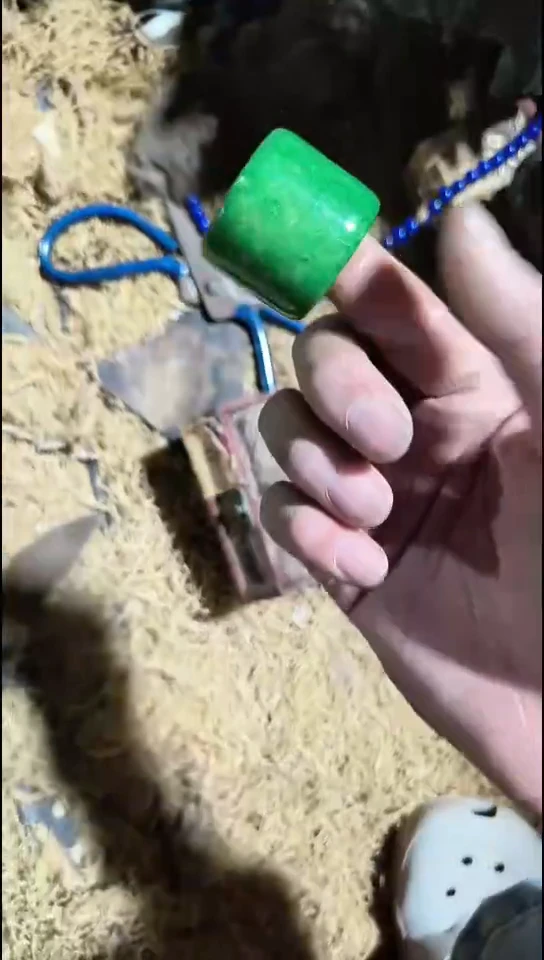 香榧木（1个绿扳指）