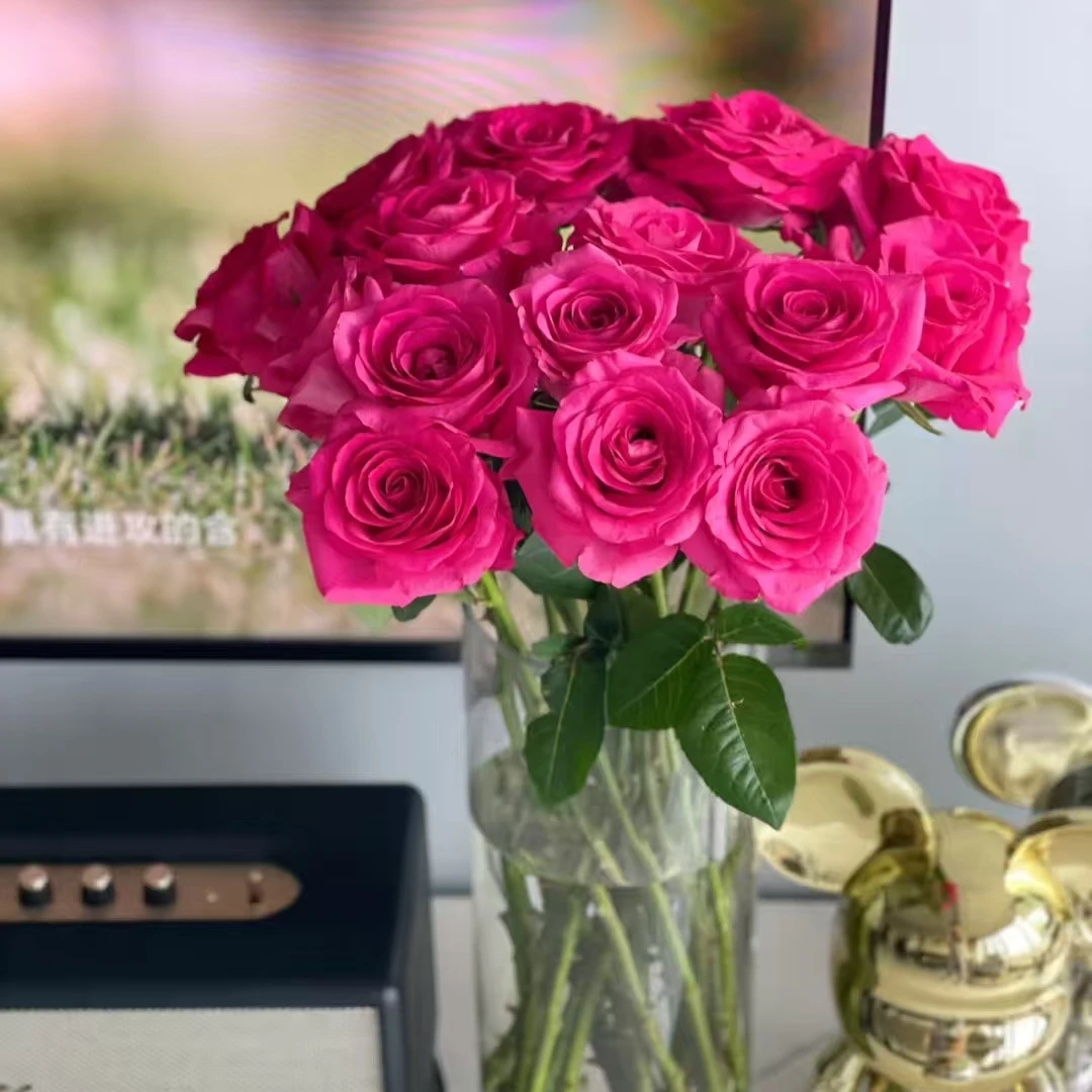 弗洛伊德-鲜花-8枝-仙女喜欢的花家居花顺丰包邮次日达今天下明天到