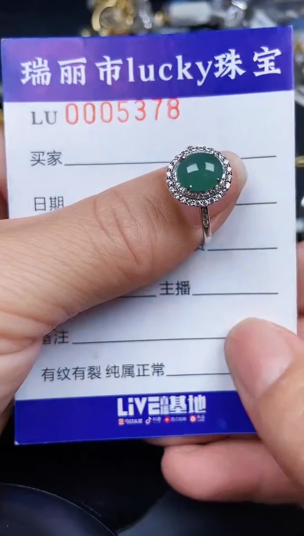翡翠银S925镶嵌颈饰5378