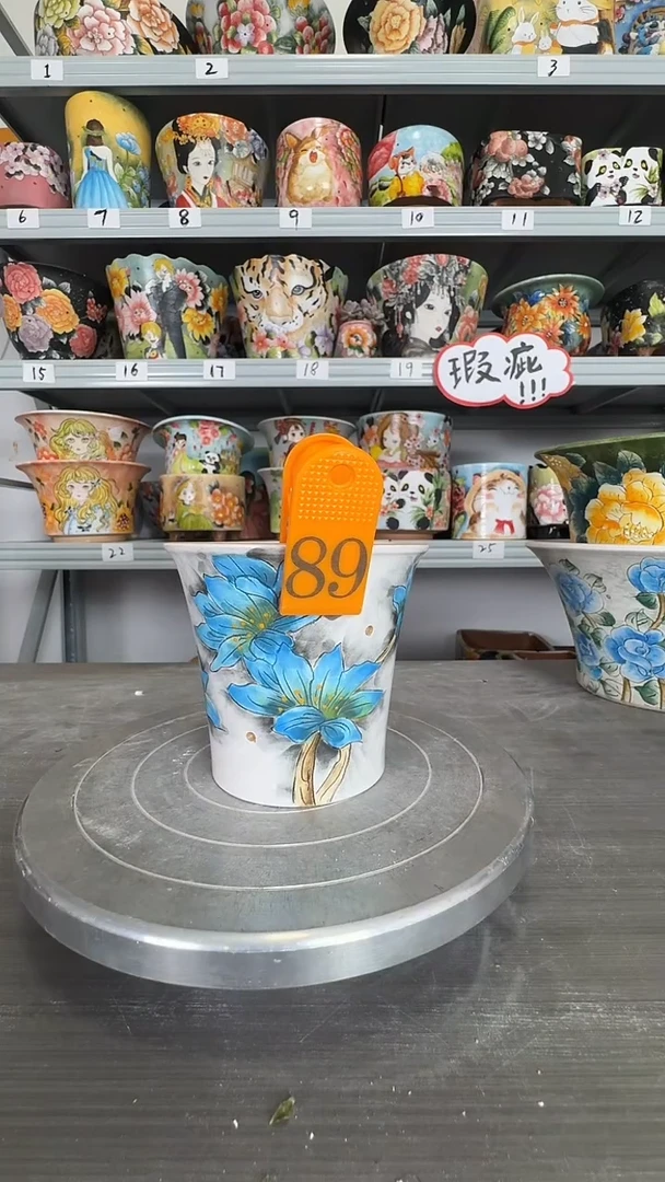 【闪购商品】陶瓷89号花盆