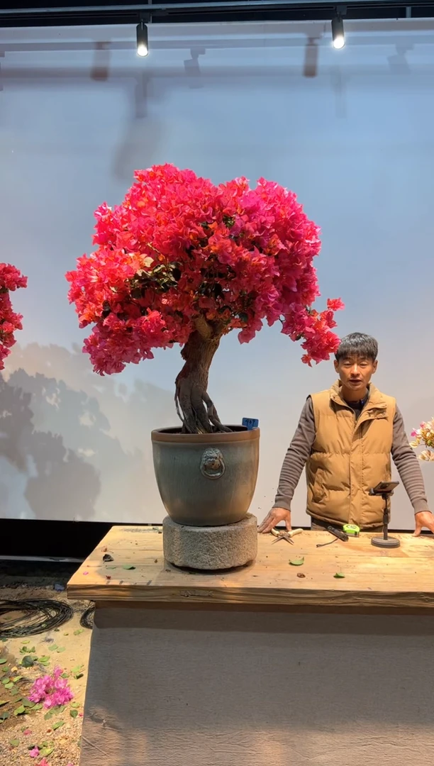 【闪购商品】aa940