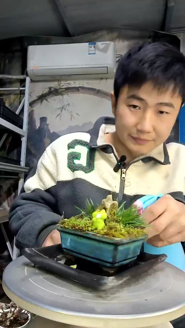 菲*中青园艺一物一拍花268