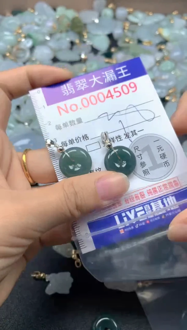 翡翠未镶嵌吊坠(不含链)4509