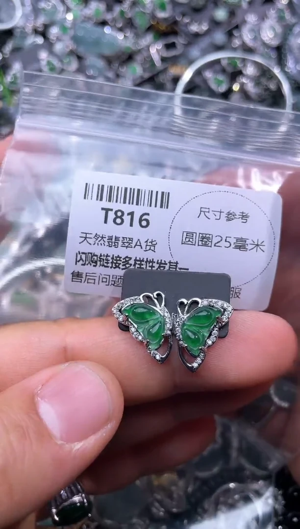【闪购商品】翡翠颈饰未镶嵌T816耳钉