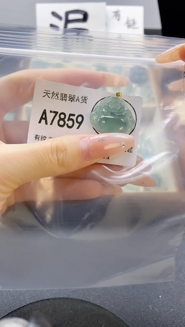 吊坠(赠链)未镶嵌翡翠天然翡翠A货