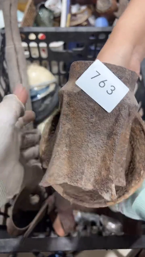 陶瓷耳****缮工艺品0819763