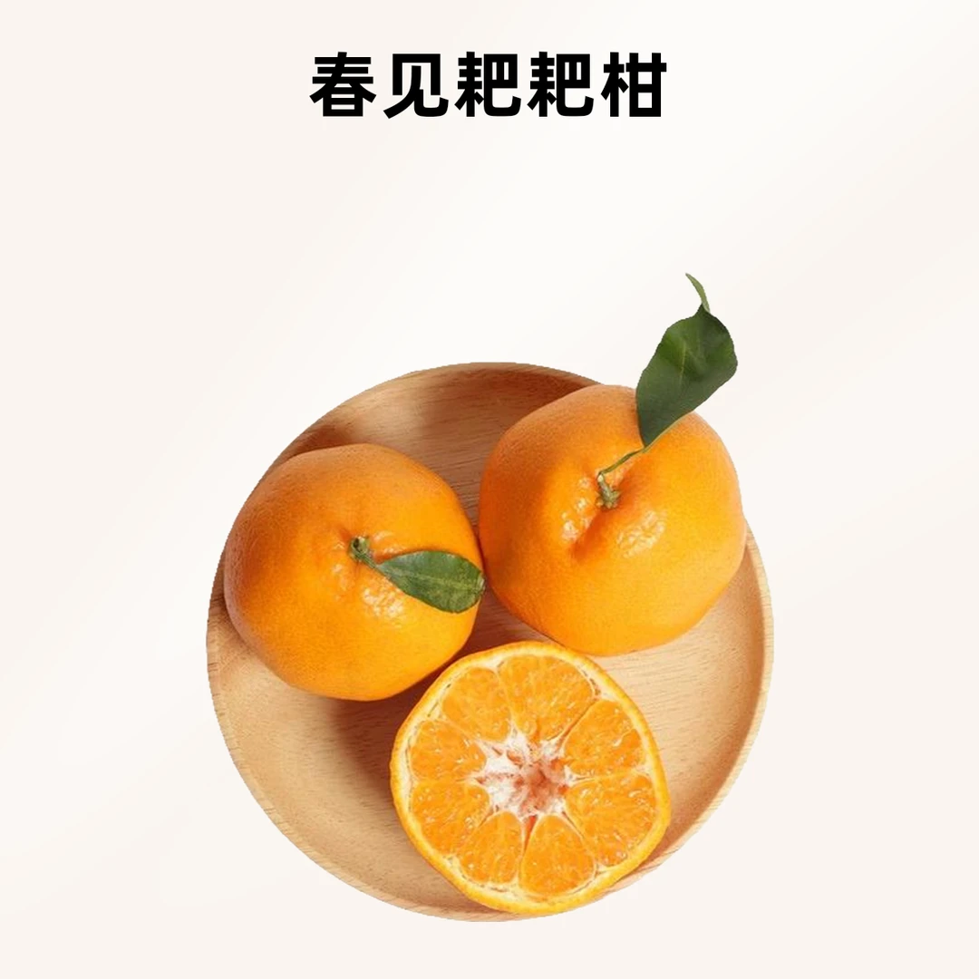 春见耙耙柑4000g新鲜耙耙柑四川省