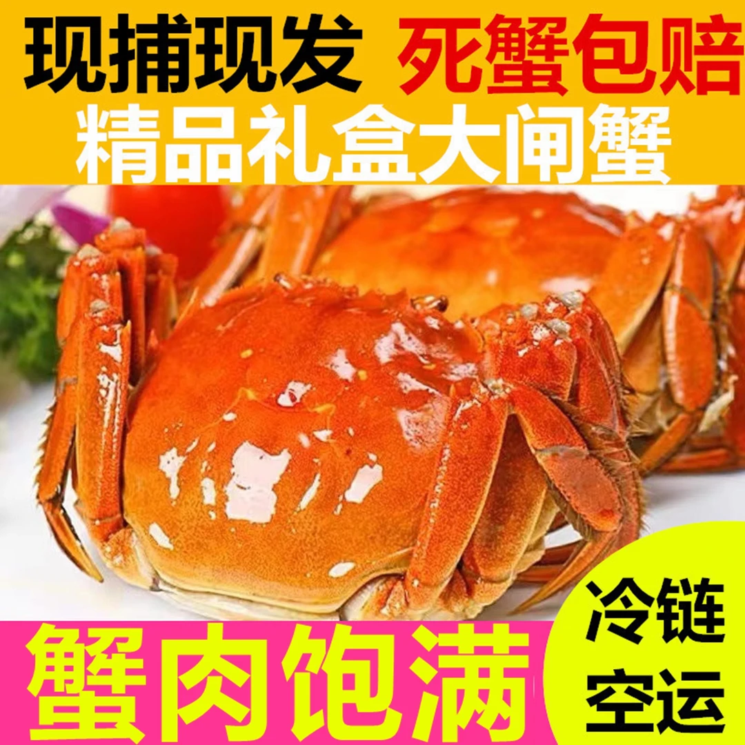 【4.7两公蟹4.7两母蟹】8只装王中皇精品大闸蟹大蟹王江苏螃蟹鲜活