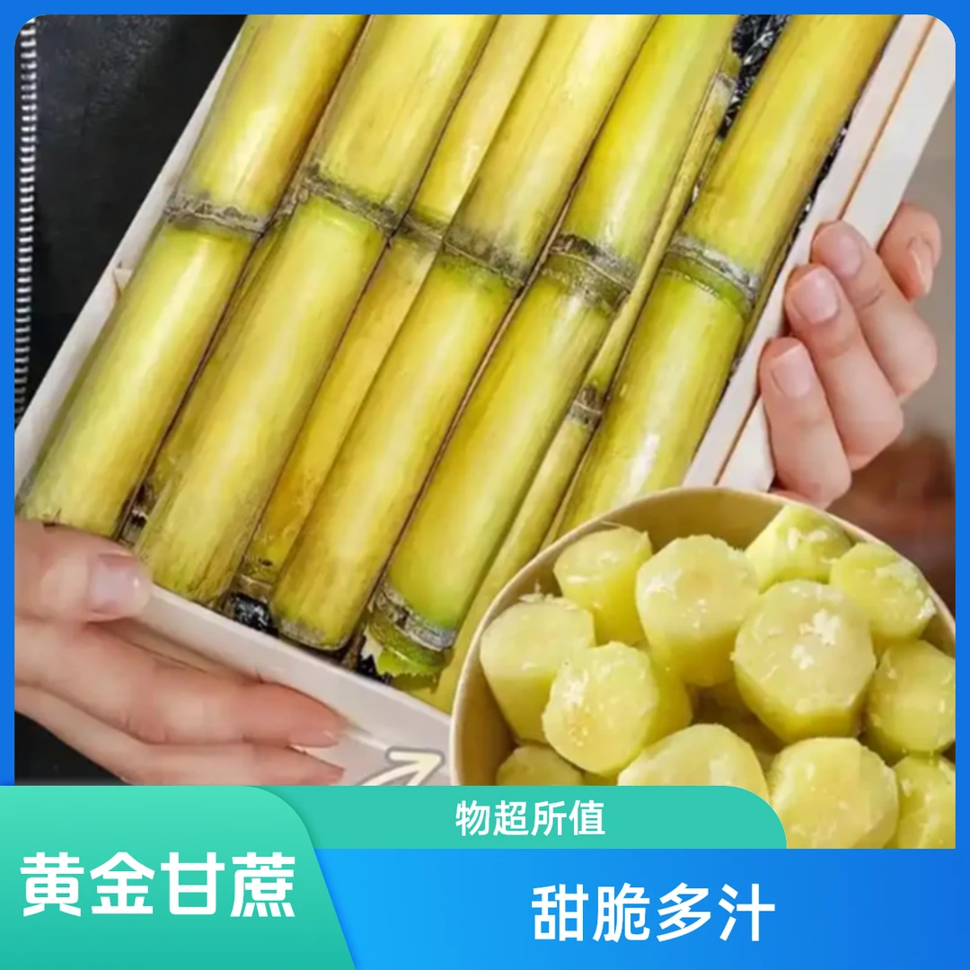 【削皮备注】黄金甘蔗 半根