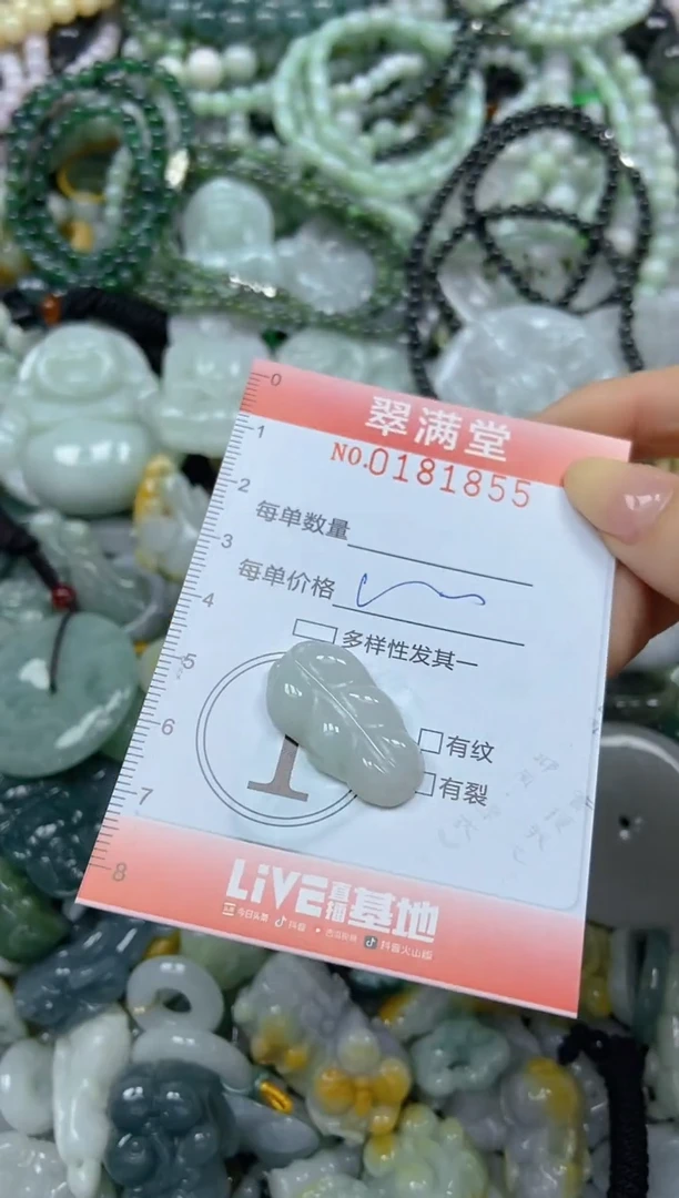 颈饰未镶嵌翡翠闪购0181855