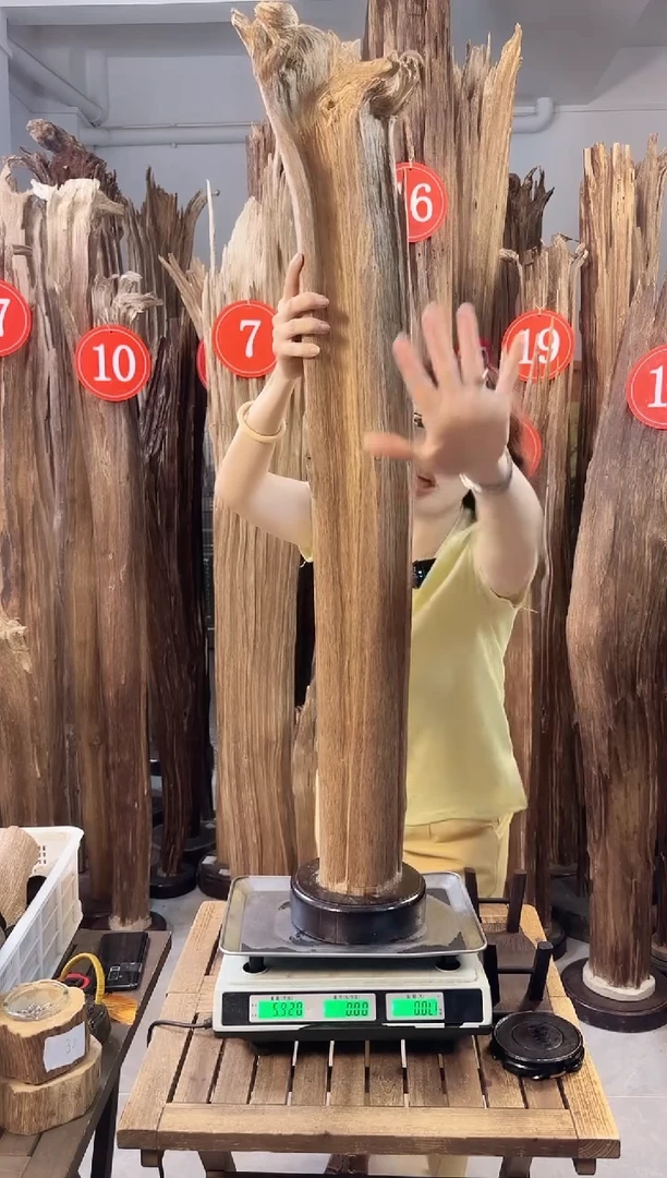 沉香碎屑沉香沉香多样性发一件42