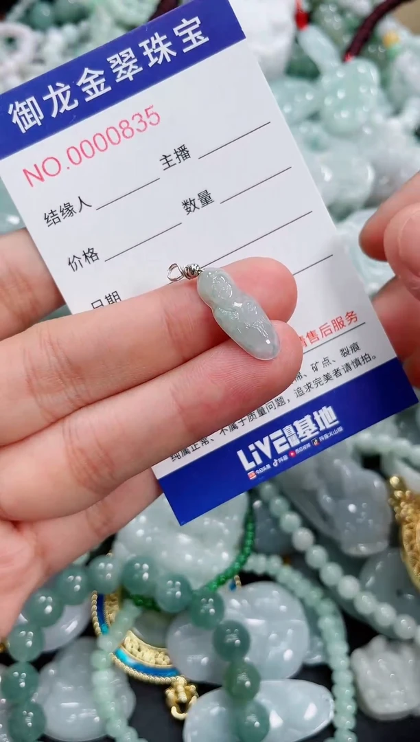 翡翠未镶嵌颈饰027