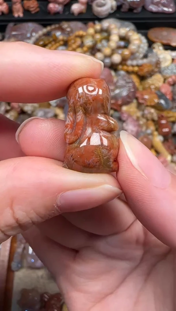 硅化珊瑚（珊瑚玉）未镶嵌颈饰092