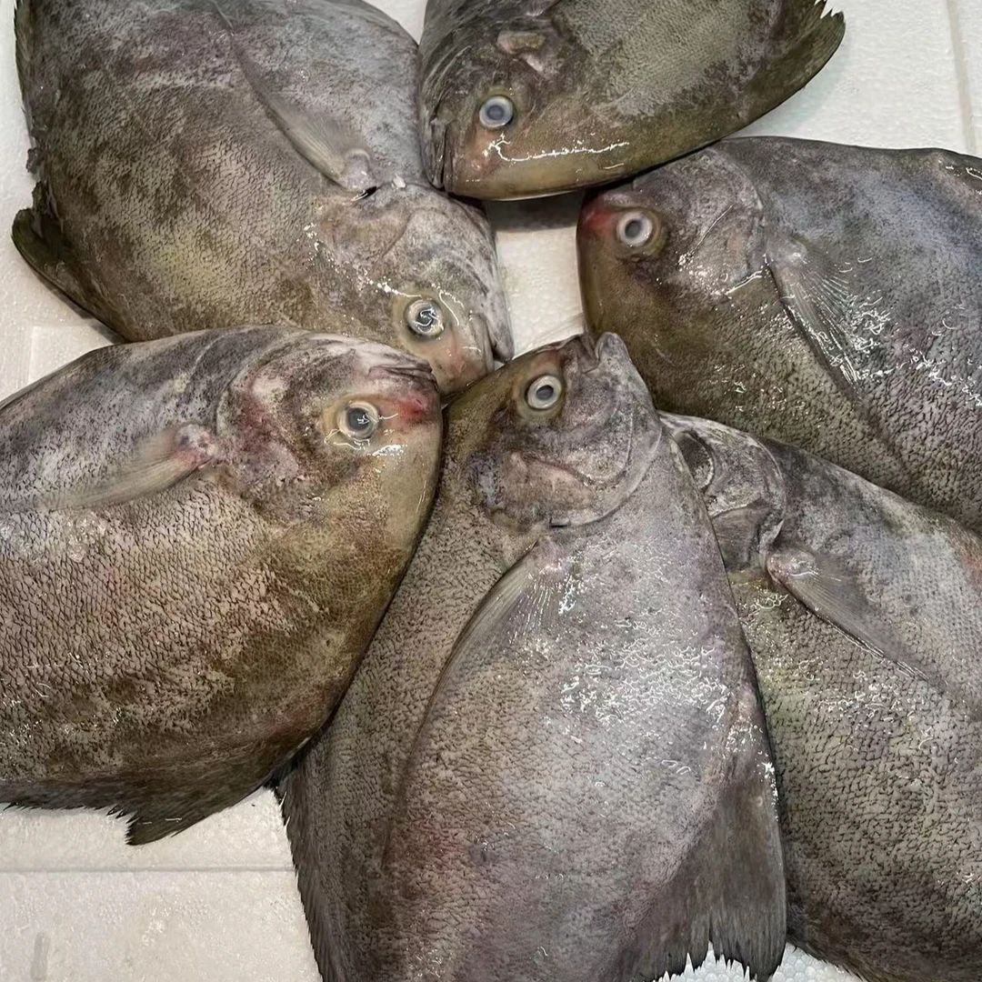 湛江乌鲳鱼（不帮杀）活鱼速冻非活发 1500g