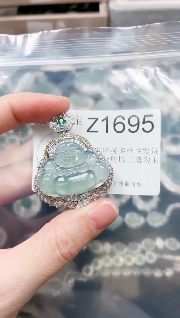 【闪购商品】翡翠颈饰未镶嵌赠皮绳1695