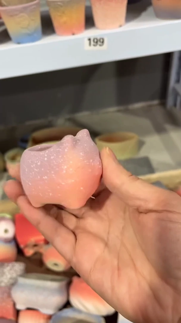 【闪购商品】陶内口 3   内高4