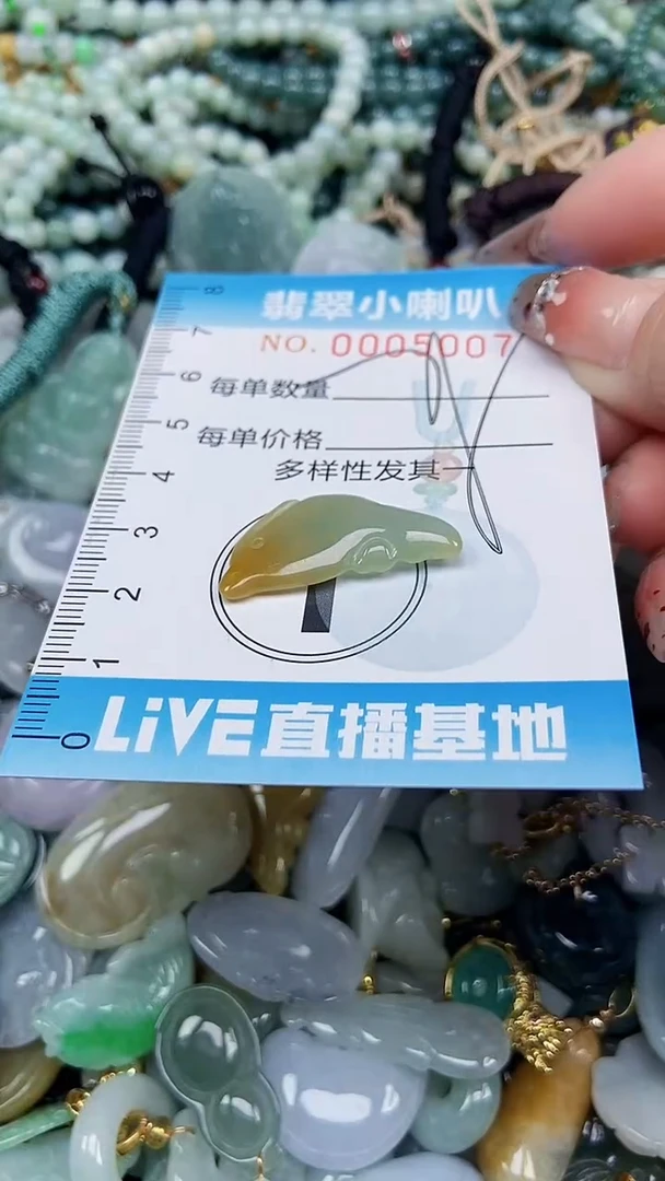 【闪购商品】翡翠颈饰未镶嵌闪购0000507多样性发其一