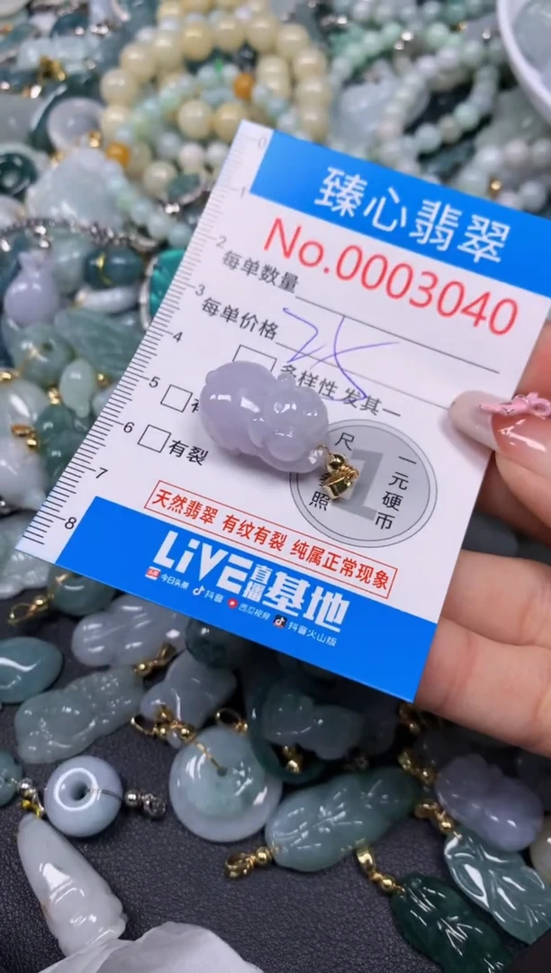 【闪购商品】翡翠颈饰未镶嵌含绳0003040