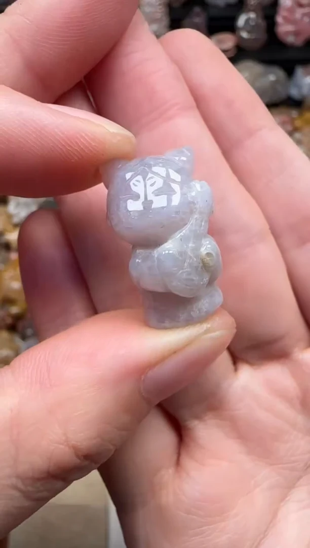 颈饰未镶嵌硅化珊瑚（珊瑚玉）539