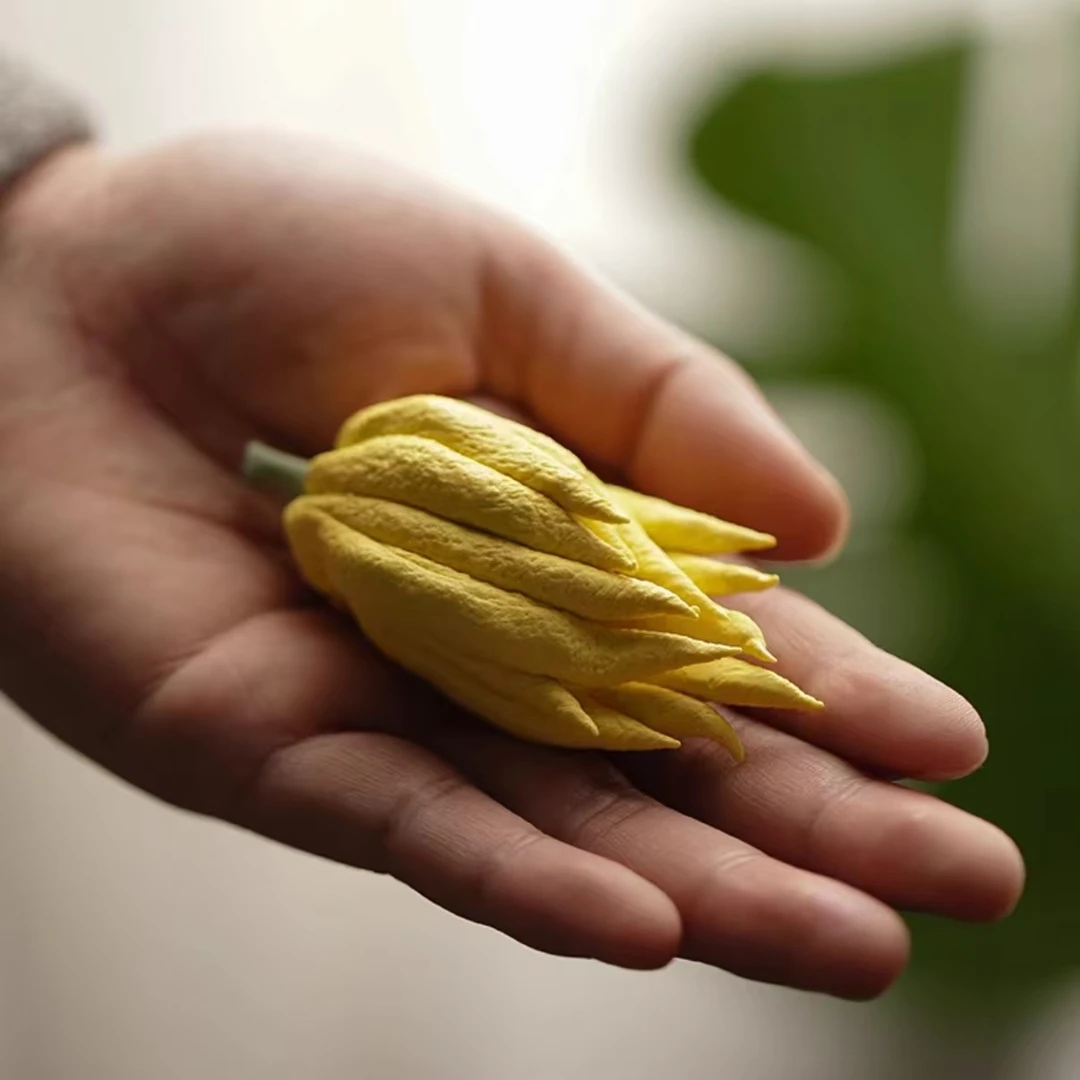 佛手茶道配件佛手茶道配件