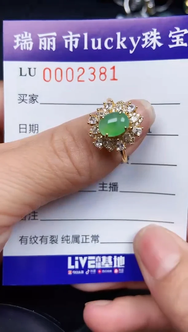 翡翠银S925镶嵌颈饰2381