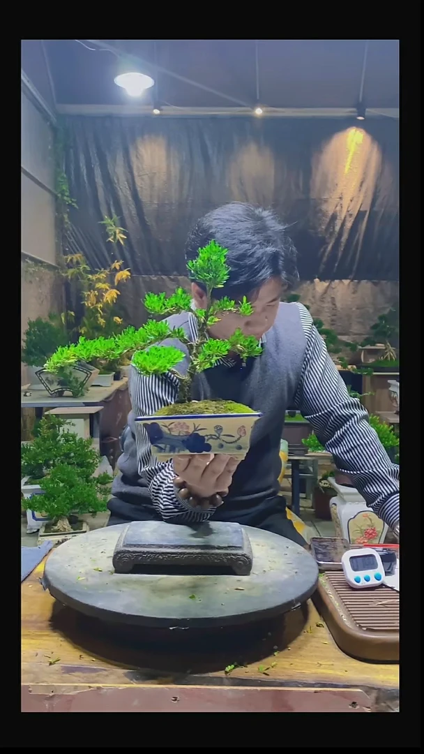 完全开放玉**车0000000000000000000000000