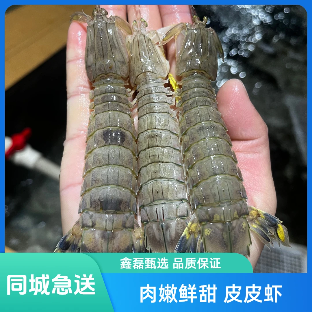 【保鲜不保活】鲜活皮皮虾海捕椒盐香辣