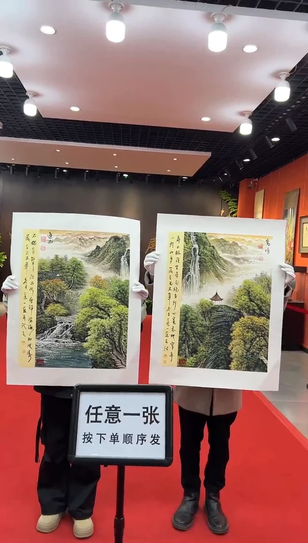 【闪购商品】国画道一老师亲笔绘画作品B27