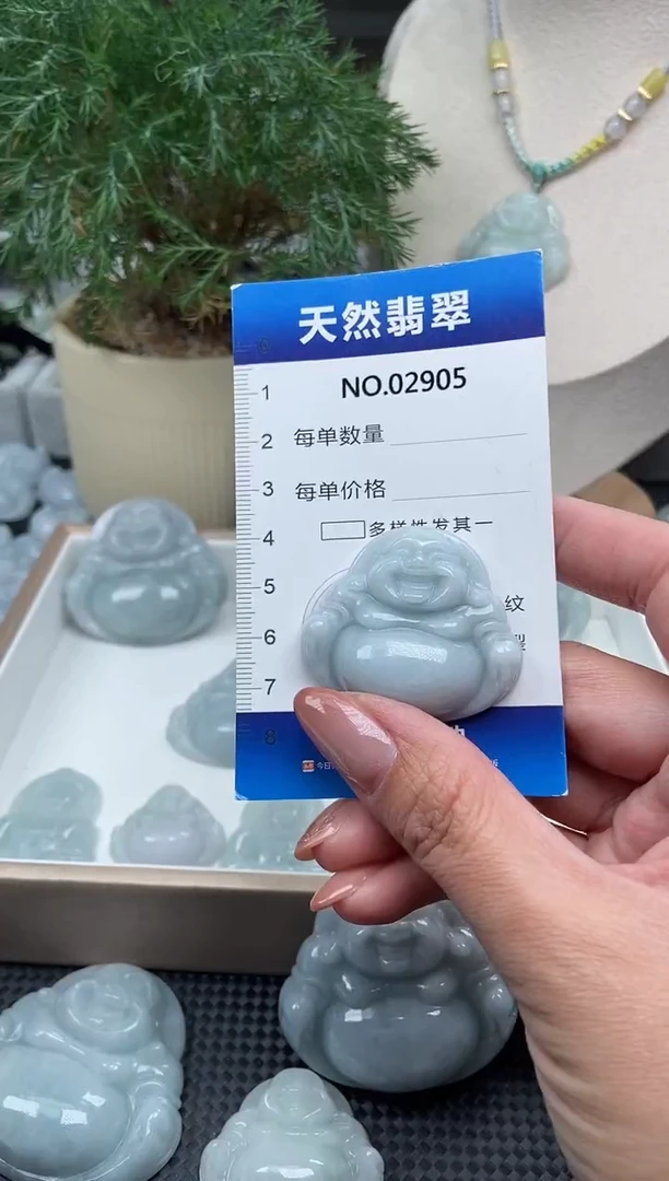 颈饰未镶嵌翡翠纯天然A货翡翠2905