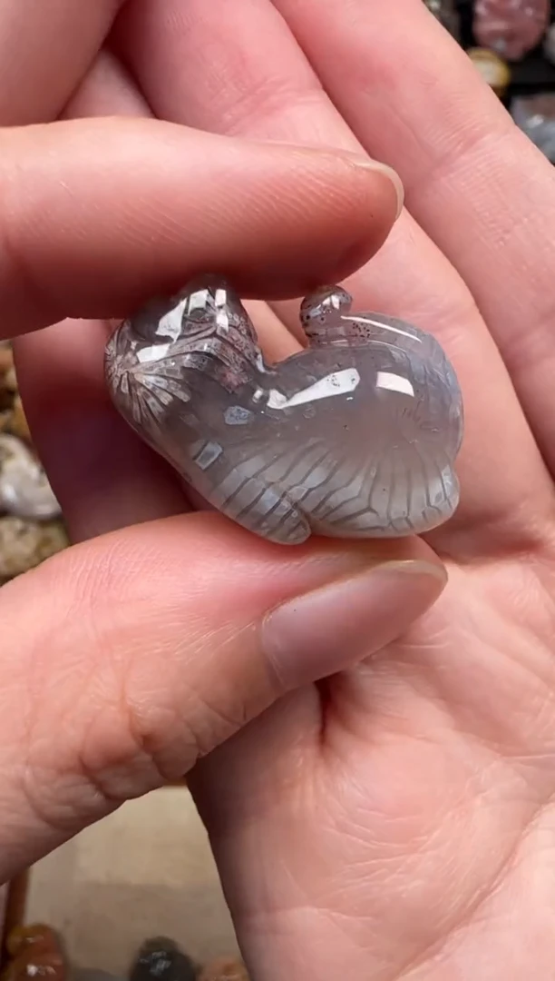 颈饰未镶嵌硅化珊瑚（珊瑚玉）564