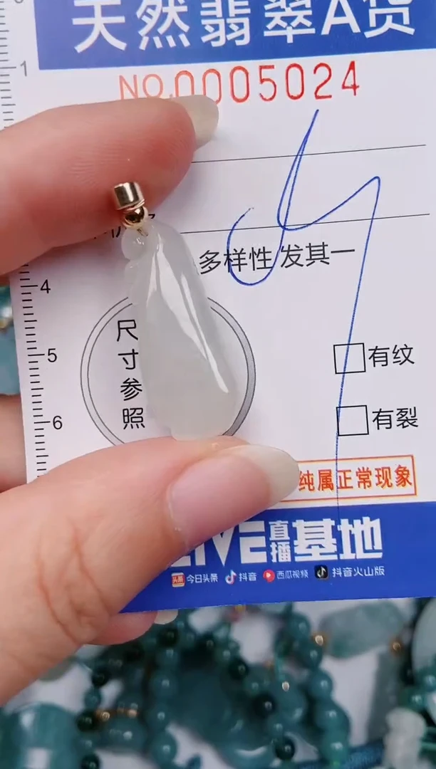 颈饰未镶嵌翡翠00005024