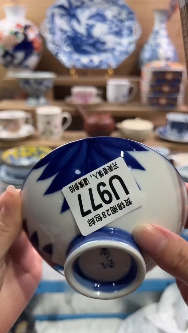 瓷片         U977
