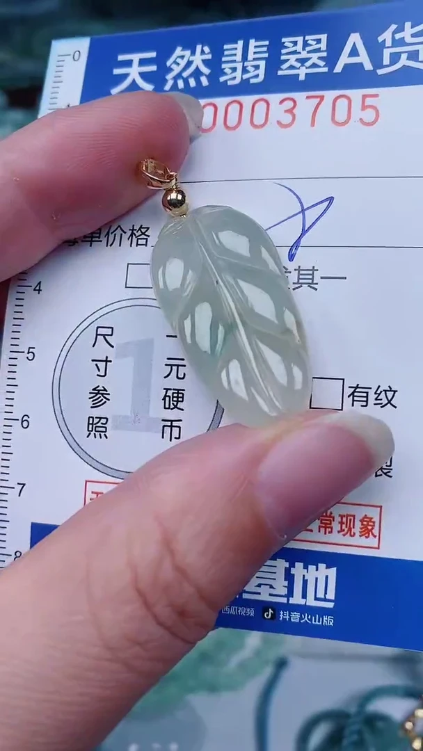 翡翠未镶嵌颈饰00003705