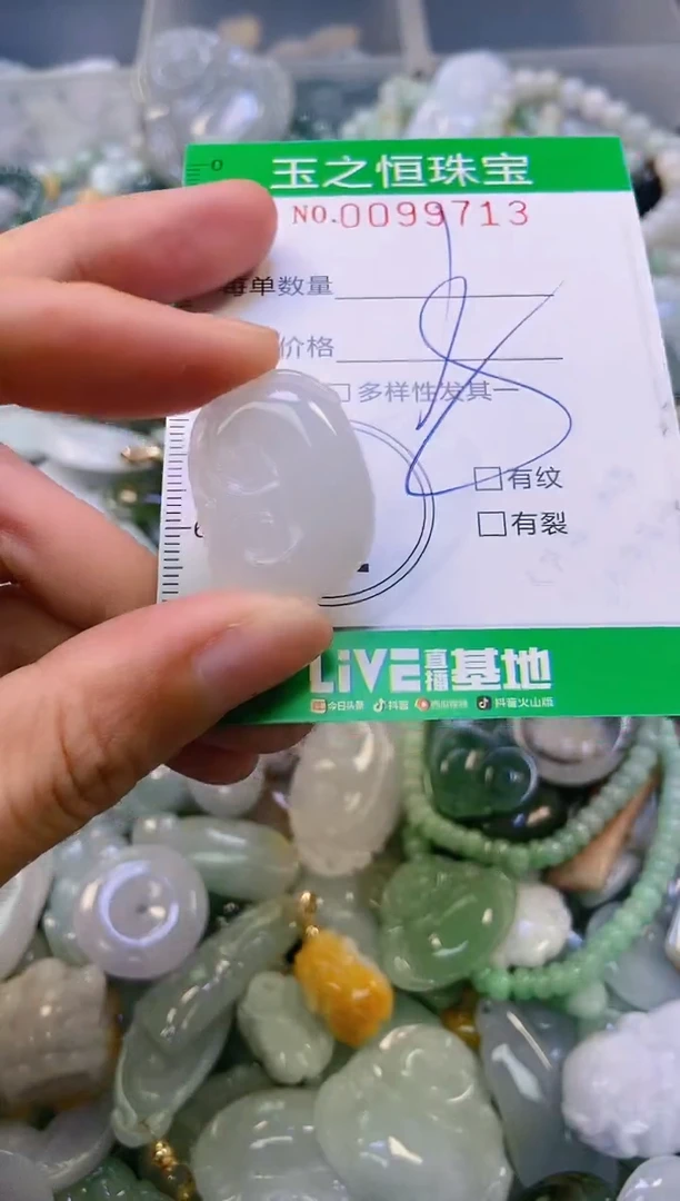 翡翠未镶嵌颈饰闪购0099713