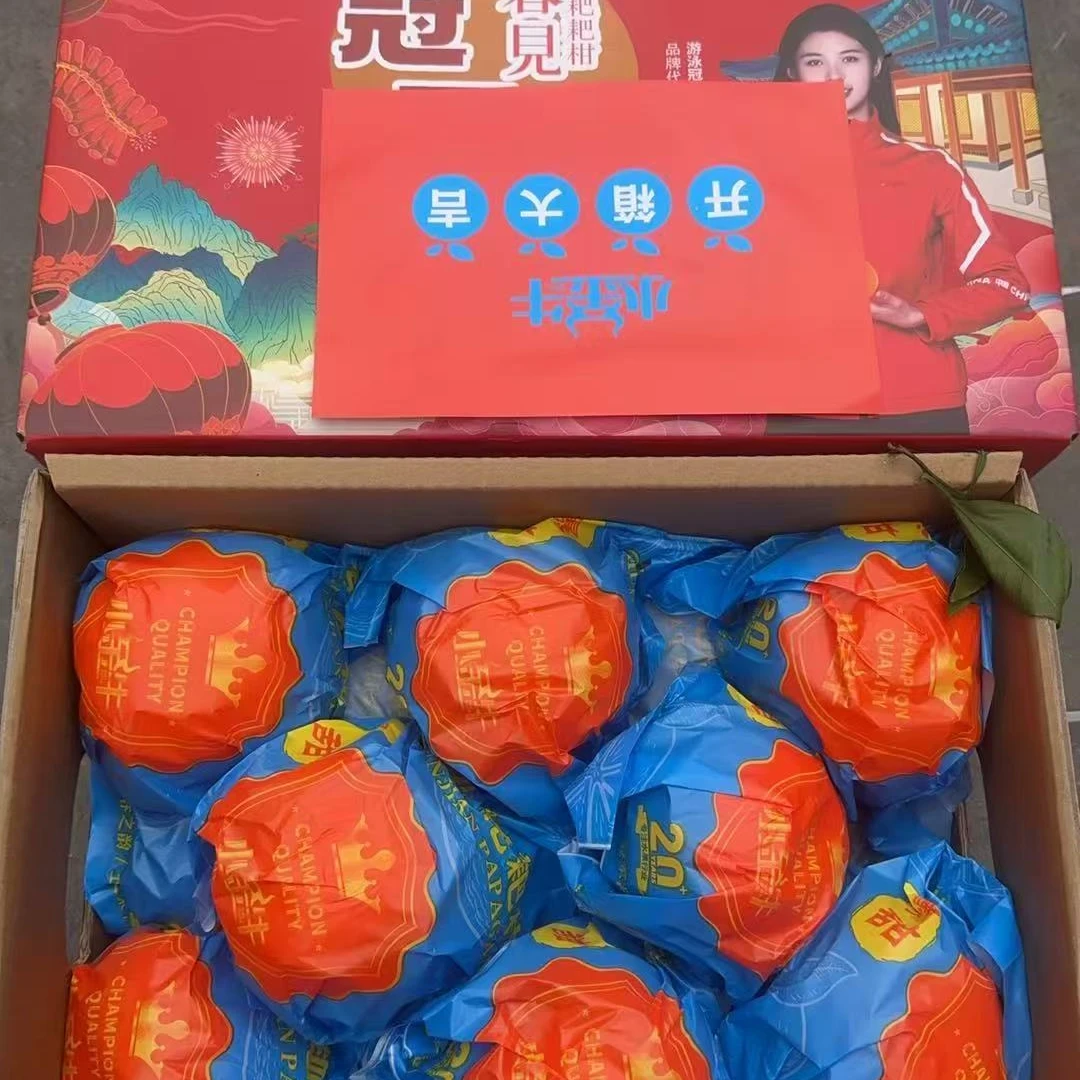 【礼盒】【N】【小金牛耙耙柑】（带箱9斤左右）