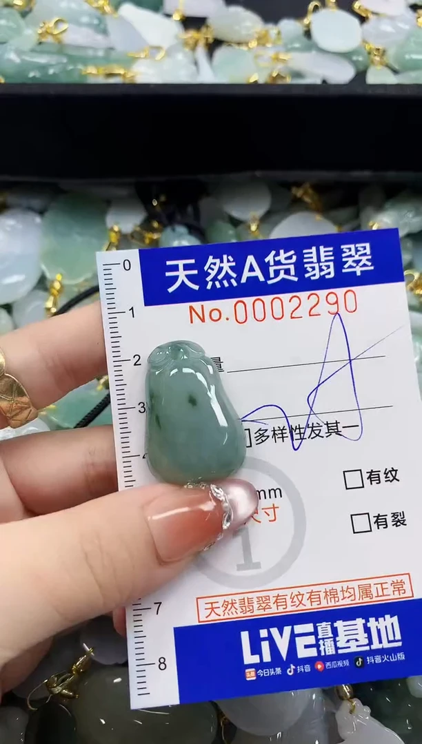 颈饰未镶嵌翡翠天然A货翡翠