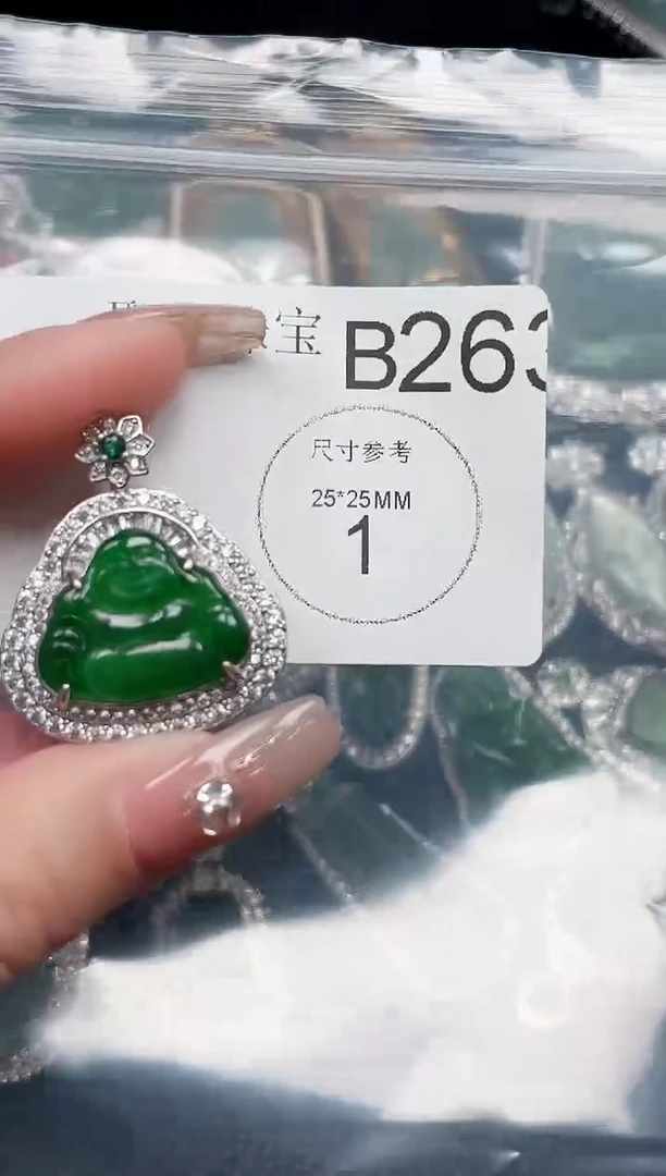【闪购商品】翡翠颈饰未镶嵌 赠皮绳263