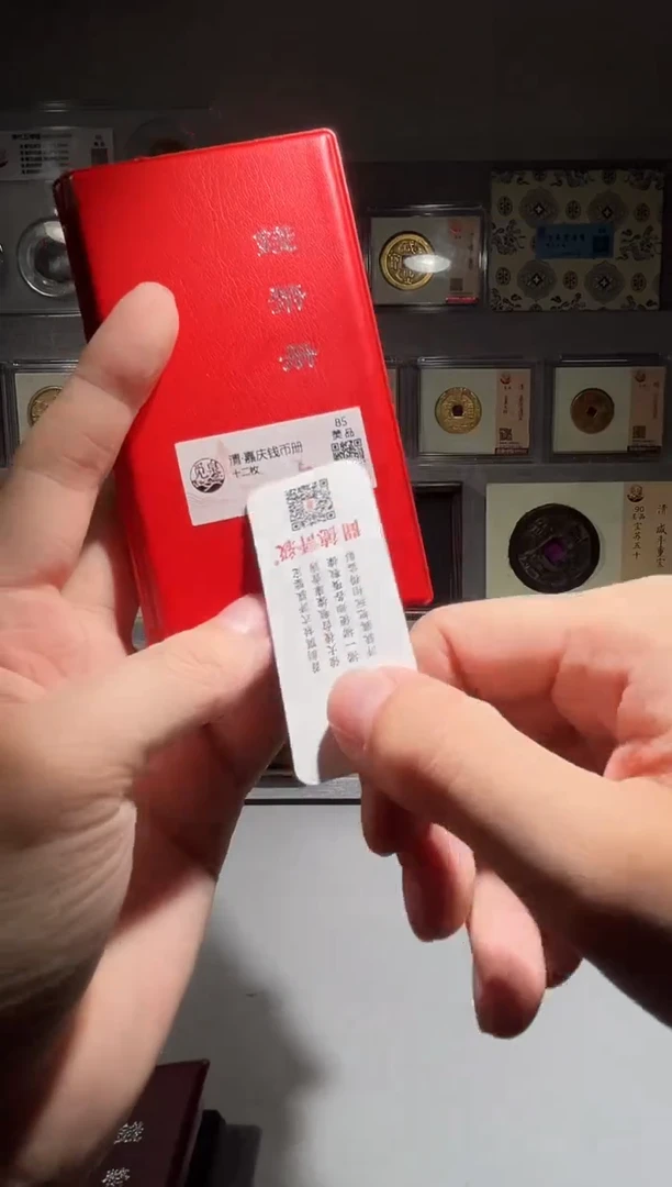 铜带评级嘉庆钱币册共12枚